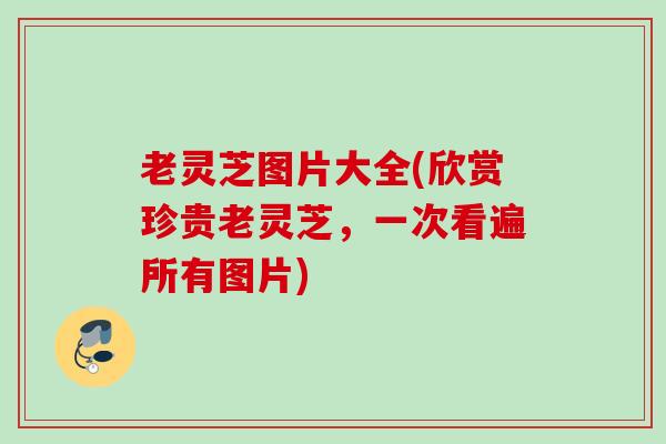 老灵芝图片大全(欣赏珍贵老灵芝,一次看遍所有图片) 老灵芝图片大全(欣赏珍贵老灵芝,一次看遍所有图片)