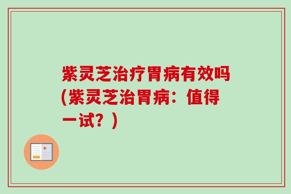 紫灵芝胃有效吗(紫灵芝胃：值得一试？)