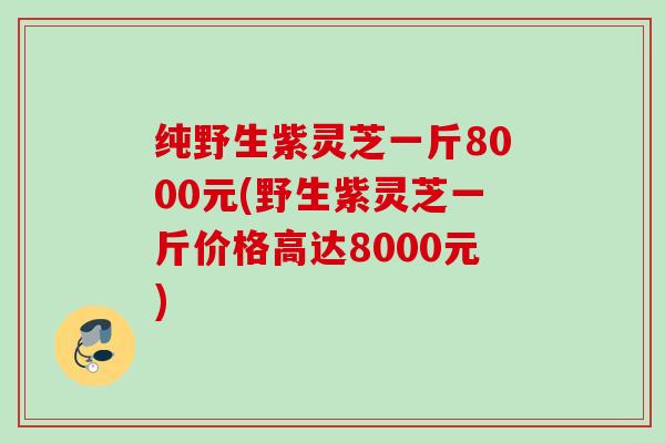 纯野生紫灵芝一斤8000元(野生紫灵芝一斤价格高达8000元) 纯野生紫灵芝一斤8000元(野生紫灵芝一斤价格高达8000元)