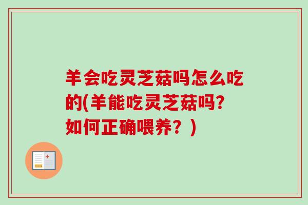 羊会吃灵芝菇吗怎么吃的(羊能吃灵芝菇吗？如何正确喂养？)