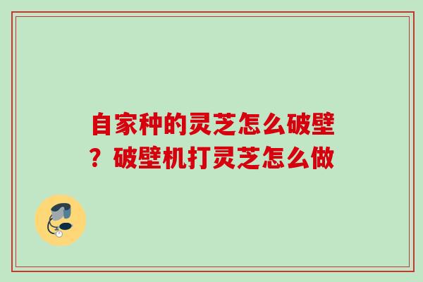 自家种的灵芝怎么破壁?破壁机打灵芝怎么做 自家种的灵芝怎么破壁?破壁机打灵芝怎么做