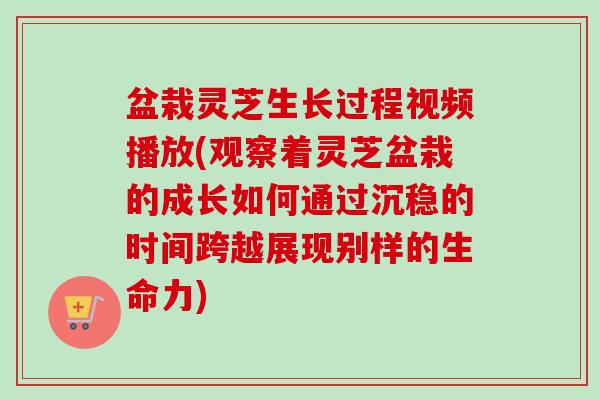 盆栽灵芝生长过程视频播放(观察着灵芝盆栽的成长如何通过沉稳的时间跨越展现别样的生命力)