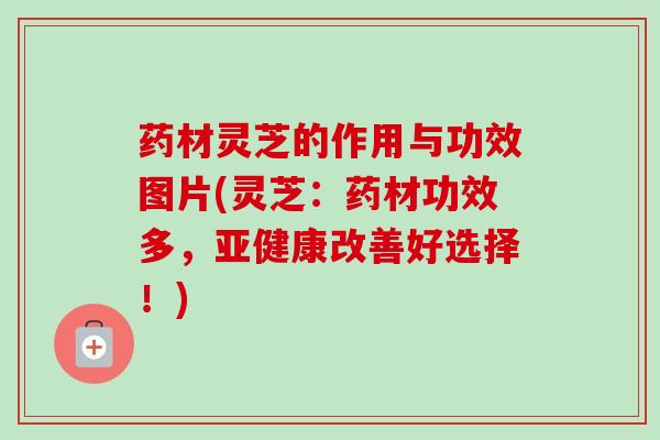 药材灵芝的作用与功效图片(灵芝：药材功效多，改善好选择！)