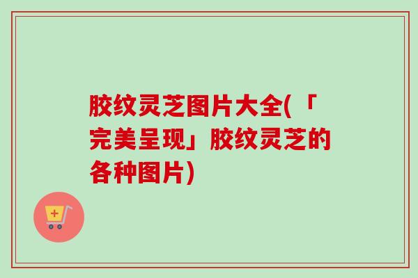 胶纹灵芝图片大全(「完美呈现」胶纹灵芝的各种图片) 胶纹灵芝图片大全(「完美呈现」胶纹灵芝的各种图片)