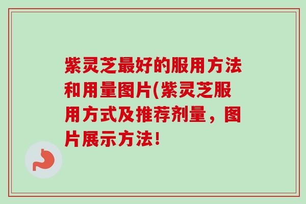 紫灵芝好的服用方法和用量图片(紫灵芝服用方式及推荐剂量,图片展示方法! 紫灵芝好的服用方法和用量图片(紫灵芝服用方式及推荐剂量,图片展示方法!