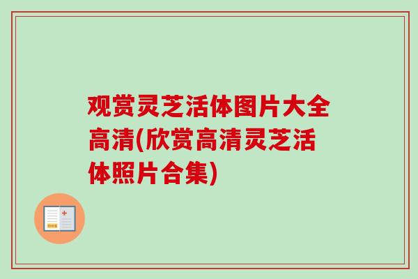 观赏灵芝活体图片大全高清(欣赏高清灵芝活体照片合集) 观赏灵芝活体图片大全高清(欣赏高清灵芝活体照片合集)
