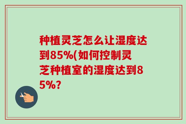 种植灵芝怎么让湿度达到85%(如何控制灵芝种植室的湿度达到85%? 种植灵芝怎么让湿度达到85%(如何控制灵芝种植室的湿度达到85%?