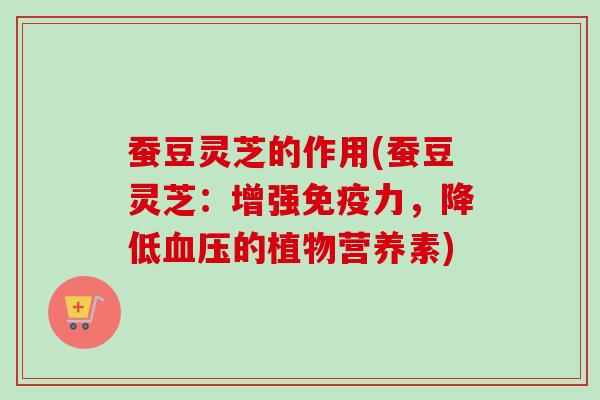 蚕豆灵芝的作用(蚕豆灵芝:增强免疫力,降低的植物营养素) 蚕豆灵芝的作用(蚕豆灵芝:增强免疫力,降低的植物营养素)