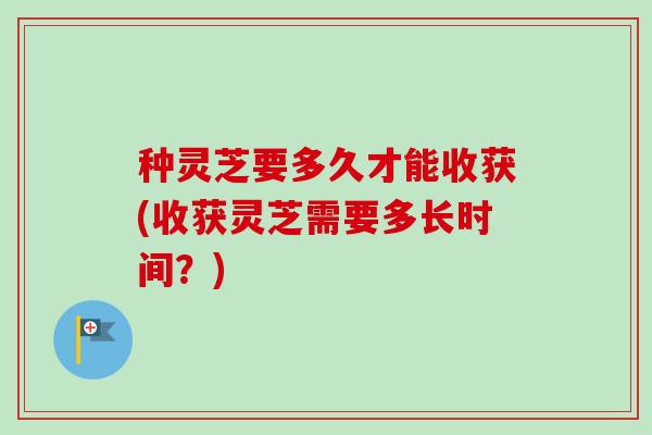 种灵芝要多久才能收获(收获灵芝需要多长时间？)