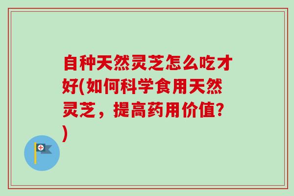 自种天然灵芝怎么吃才好(如何科学食用天然灵芝，提高药用价值？)