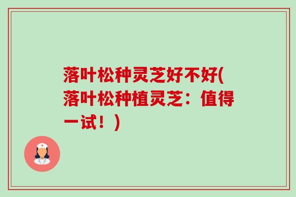 落叶松种灵芝好不好(落叶松种植灵芝:值得一试!) 落叶松种灵芝好不好(落叶松种植灵芝:值得一试!)