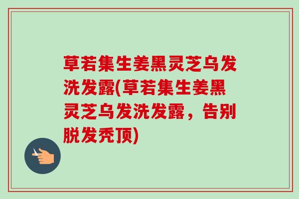 草若集生姜黑灵芝乌发洗发露(草若集生姜黑灵芝乌发洗发露，告别秃顶)