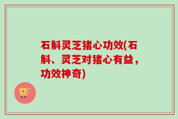 石斛灵芝猪心功效(石斛、灵芝对猪心有益,功效神奇) 石斛灵芝猪心功效(石斛、灵芝对猪心有益,功效神奇)