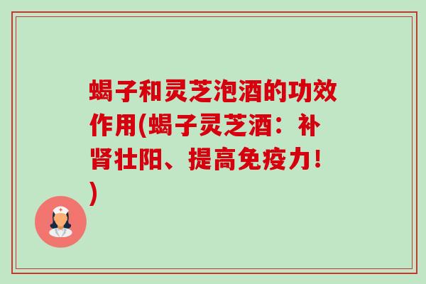 蝎子和灵芝泡酒的功效作用(蝎子灵芝酒:补壮阳、提高免疫力!) 蝎子和灵芝泡酒的功效作用(蝎子灵芝酒:补壮阳、提高免疫力!)