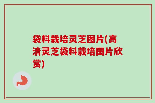 袋料栽培灵芝图片(高清灵芝袋料栽培图片欣赏) 袋料栽培灵芝图片(高清灵芝袋料栽培图片欣赏)