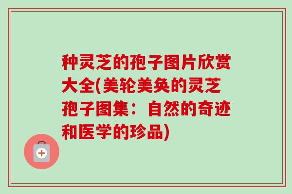 种灵芝的孢子图片欣赏大全(美轮美奂的灵芝孢子图集:自然的奇迹和医学的珍品) 种灵芝的孢子图片欣赏大全(美轮美奂的灵芝孢子图集:自然的奇迹和医学的珍品)