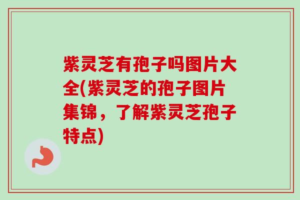 紫灵芝有孢子吗图片大全(紫灵芝的孢子图片集锦,了解紫灵芝孢子特点) 紫灵芝有孢子吗图片大全(紫灵芝的孢子图片集锦,了解紫灵芝孢子特点)