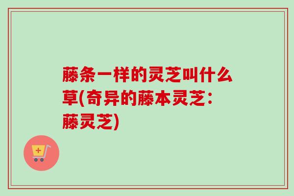藤条一样的灵芝叫什么草(奇异的藤本灵芝:藤灵芝) 藤条一样的灵芝叫什么草(奇异的藤本灵芝:藤灵芝)