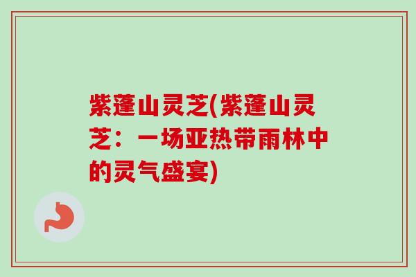 紫蓬山灵芝(紫蓬山灵芝:一场亚热带雨林中的灵气盛宴) 紫蓬山灵芝(紫蓬山灵芝:一场亚热带雨林中的灵气盛宴)