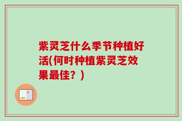 紫灵芝什么季节种植好活(何时种植紫灵芝效果佳?) 紫灵芝什么季节种植好活(何时种植紫灵芝效果佳?)