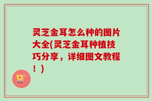 灵芝金耳怎么种的图片大全(灵芝金耳种植技巧分享,详细图文教程!) 灵芝金耳怎么种的图片大全(灵芝金耳种植技巧分享,详细图文教程!)