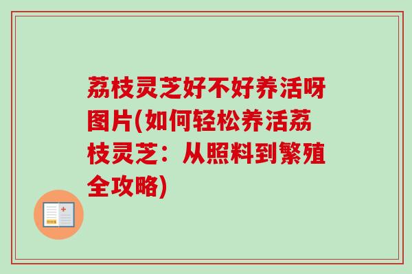 荔枝灵芝好不好养活呀图片(如何轻松养活荔枝灵芝:从照料到繁殖全攻略) 荔枝灵芝好不好养活呀图片(如何轻松养活荔枝灵芝:从照料到繁殖全攻略)