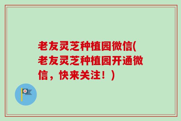 老友灵芝种植园微信(老友灵芝种植园开通微信,快来关注!) 老友灵芝种植园微信(老友灵芝种植园开通微信,快来关注!)