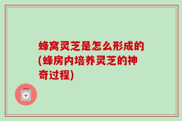 蜂窝灵芝是怎么形成的(蜂房内培养灵芝的神奇过程) 蜂窝灵芝是怎么形成的(蜂房内培养灵芝的神奇过程)