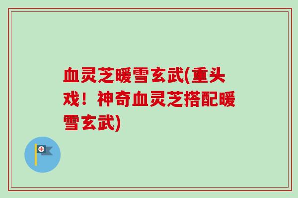 灵芝暖雪玄武(重头戏！神奇灵芝搭配暖雪玄武)