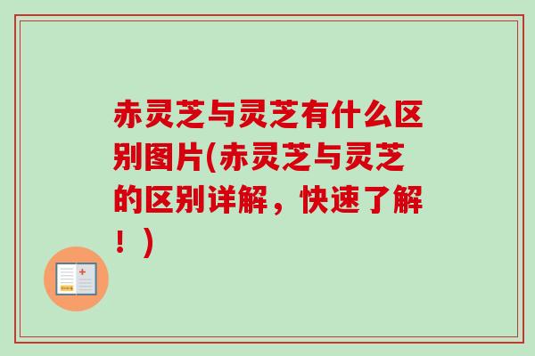 赤灵芝与灵芝有什么区别图片(赤灵芝与灵芝的区别详解，快速了解！)