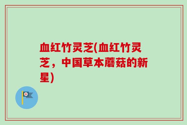 红竹灵芝(红竹灵芝，中国草本蘑菇的新星)
