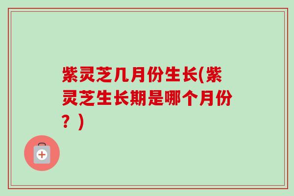 紫灵芝几月份生长(紫灵芝生长期是哪个月份?) 紫灵芝几月份生长(紫灵芝生长期是哪个月份?)