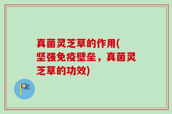 真菌灵芝草的作用( 坚强免疫壁垒，真菌灵芝草的功效)