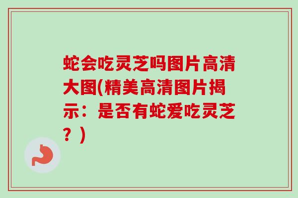 蛇会吃灵芝吗图片高清大图(精美高清图片揭示：是否有蛇爱吃灵芝？)