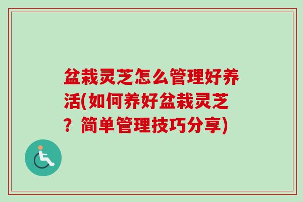 盆栽灵芝怎么管理好养活(如何养好盆栽灵芝?简单管理技巧分享) 盆栽灵芝怎么管理好养活(如何养好盆栽灵芝?简单管理技巧分享)