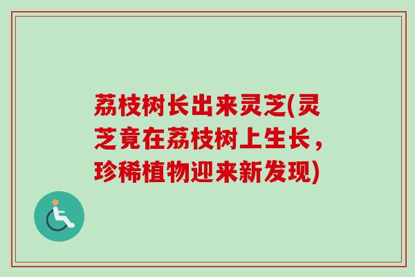 荔枝树长出来灵芝(灵芝竟在荔枝树上生长,珍稀植物迎来新发现) 荔枝树长出来灵芝(灵芝竟在荔枝树上生长,珍稀植物迎来新发现)