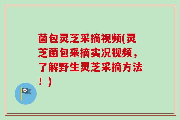 菌包灵芝采摘视频(灵芝菌包采摘实况视频,了解野生灵芝采摘方法!) 菌包灵芝采摘视频(灵芝菌包采摘实况视频,了解野生灵芝采摘方法!)