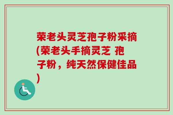 荣老头灵芝孢子粉采摘(荣老头手摘灵芝 孢子粉，纯天然保健佳品)