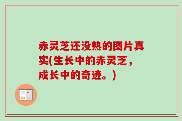 赤灵芝还没熟的图片真实(生长中的赤灵芝,成长中的奇迹。) 赤灵芝还没熟的图片真实(生长中的赤灵芝,成长中的奇迹。)