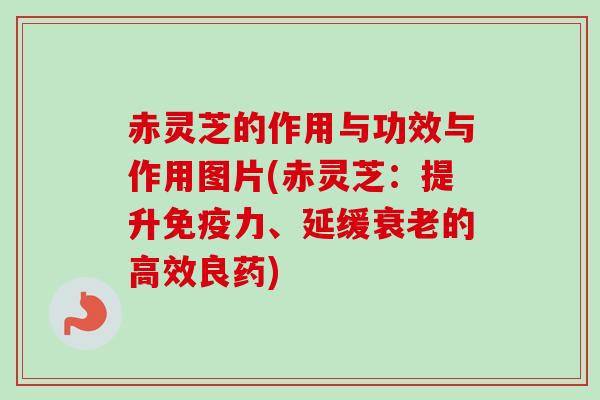 赤灵芝的作用与功效与作用图片(赤灵芝：提升免疫力、延缓的高效良药)