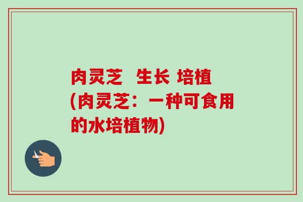 肉灵芝 生长 培植(肉灵芝:一种可食用的水培植物) 肉灵芝 生长 培植(肉灵芝:一种可食用的水培植物)