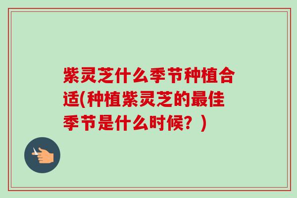 紫灵芝什么季节种植合适(种植紫灵芝的佳季节是什么时候?) 紫灵芝什么季节种植合适(种植紫灵芝的佳季节是什么时候?)