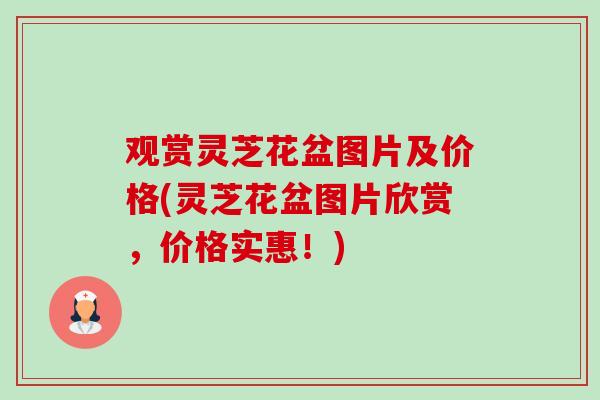观赏灵芝花盆图片及价格(灵芝花盆图片欣赏，价格实惠！)