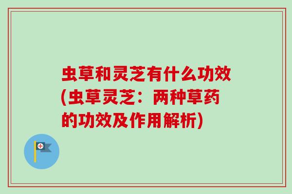 虫草和灵芝有什么功效(虫草灵芝:两种草药的功效及作用解析) 虫草和灵芝有什么功效(虫草灵芝:两种草药的功效及作用解析)