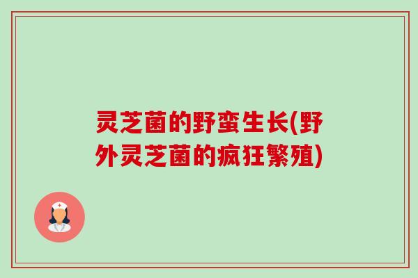 灵芝菌的野蛮生长(野外灵芝菌的疯狂繁殖) 灵芝菌的野蛮生长(野外灵芝菌的疯狂繁殖)