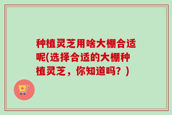 种植灵芝用啥大棚合适呢(选择合适的大棚种植灵芝,你知道吗?) 种植灵芝用啥大棚合适呢(选择合适的大棚种植灵芝,你知道吗?)