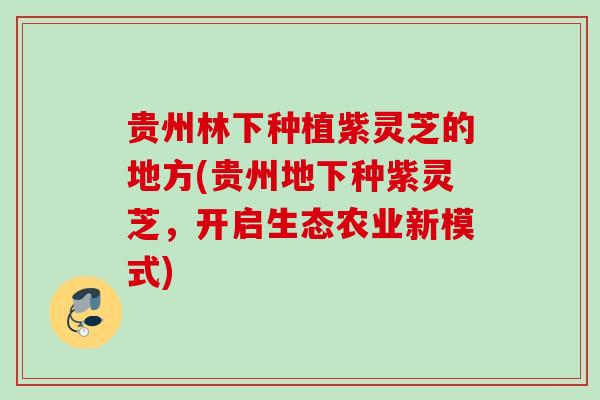 贵州林下种植紫灵芝的地方(贵州地下种紫灵芝，开启生态农业新模式)