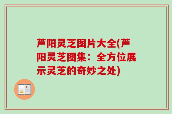 芦阳灵芝图片大全(芦阳灵芝图集:全方位展示灵芝的奇妙之处) 芦阳灵芝图片大全(芦阳灵芝图集:全方位展示灵芝的奇妙之处)