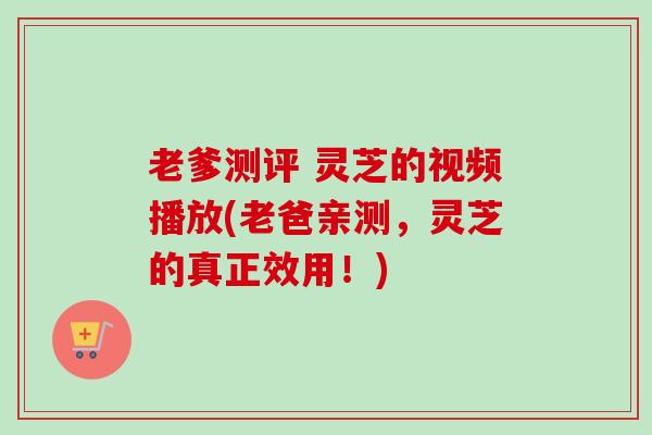 老爹测评 灵芝的视频播放(老爸亲测，灵芝的真正效用！)
