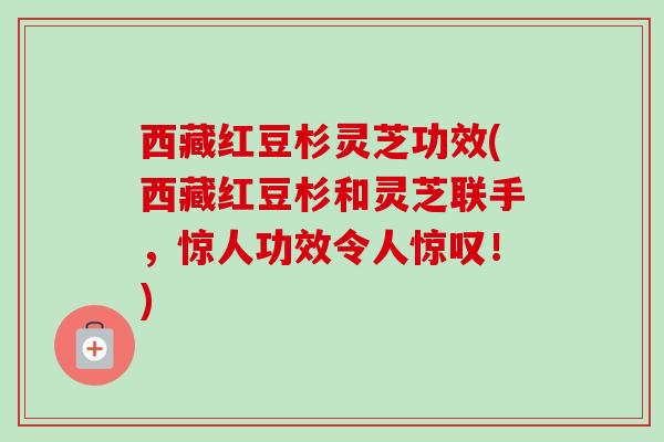 西藏红豆杉灵芝功效(西藏红豆杉和灵芝联手，惊人功效令人惊叹！)